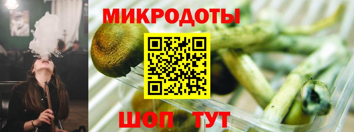 Галлюциногенные грибы Cubensis Лесозаводск